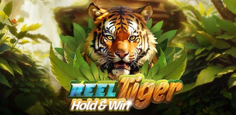 Reel Tiger in jackpotbanger