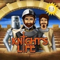 Knight's Life in tinybutmightyde