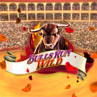Bulls Run Wild in RedTigerGames