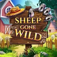 Sheep Gone Wild in RedTigerGames