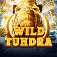 Wild Tundra in RedTigerGames