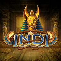 Indi in bookof