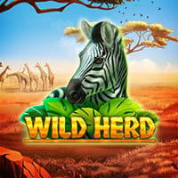 Wild Herd in tinybutmightyde