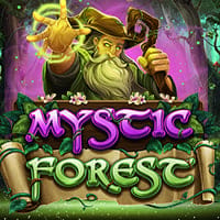 Mystic Forest in apparat
