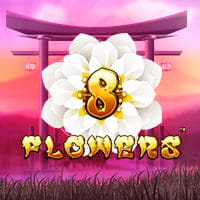 8 Flowers in Synot
