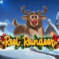Reel Reindeer in Synot