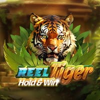 Reel Tiger in Jackpot_Slots