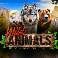Wild Animals in RedRake