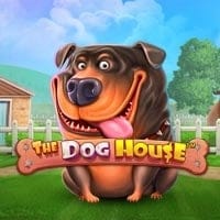 The Dog House in hiddengems